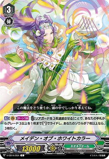白马蹄莲淑女