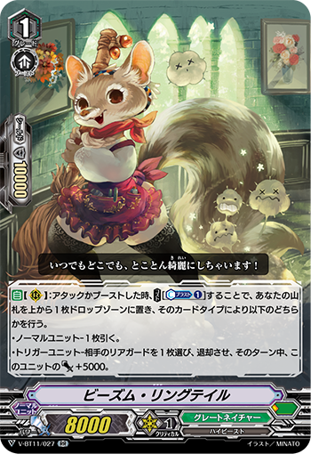 扫帚卷尾猫