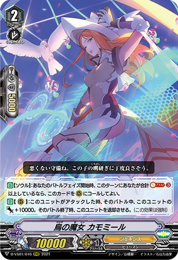 乌之魔女 洋甘菊