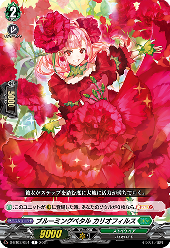 盛开花瓣 卡里奥菲尔斯