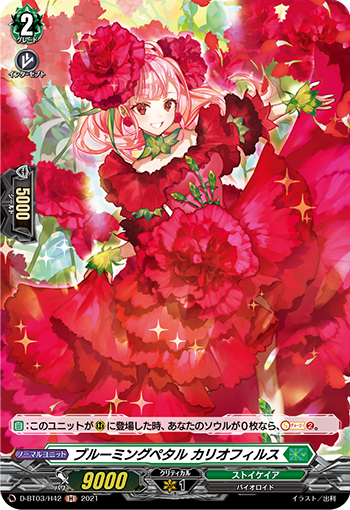盛开花瓣 卡里奥菲尔斯