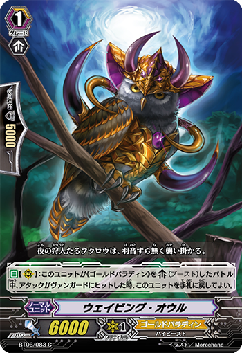 音波猫头鹰