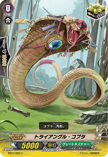 三角眼镜蛇