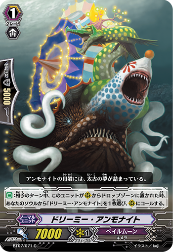 梦幻菊石