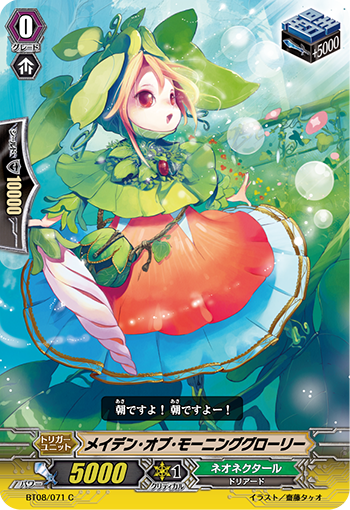 牵牛花淑女