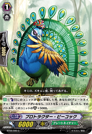 量角器孔雀