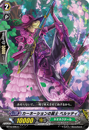 康乃馨的火枪手 贝卢迪
