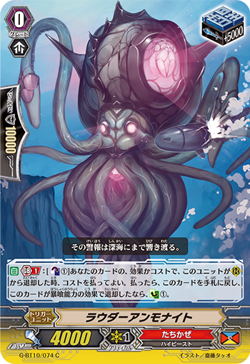 高声菊石