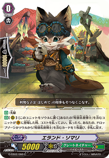差使索马里猫
