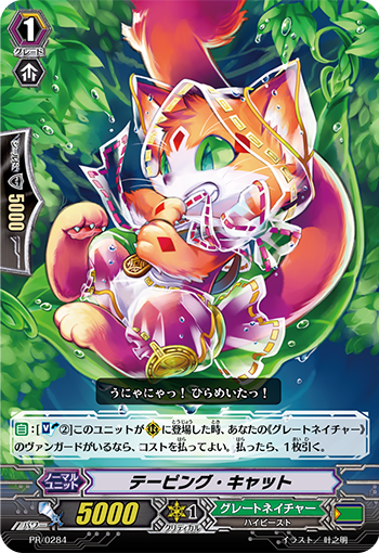 缠带猫咪